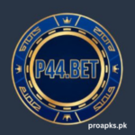 P44 Game Download APK Latest Earning App in Pakistan